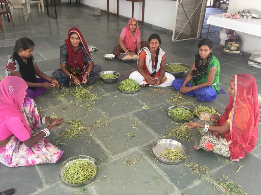 sangri cleaning action 1200